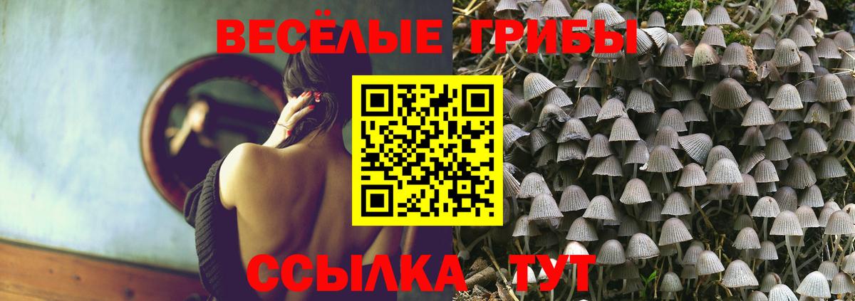Галлюциногенные грибы Magic Shrooms  Вход с VPN  купить наркотики цена  Сокол 